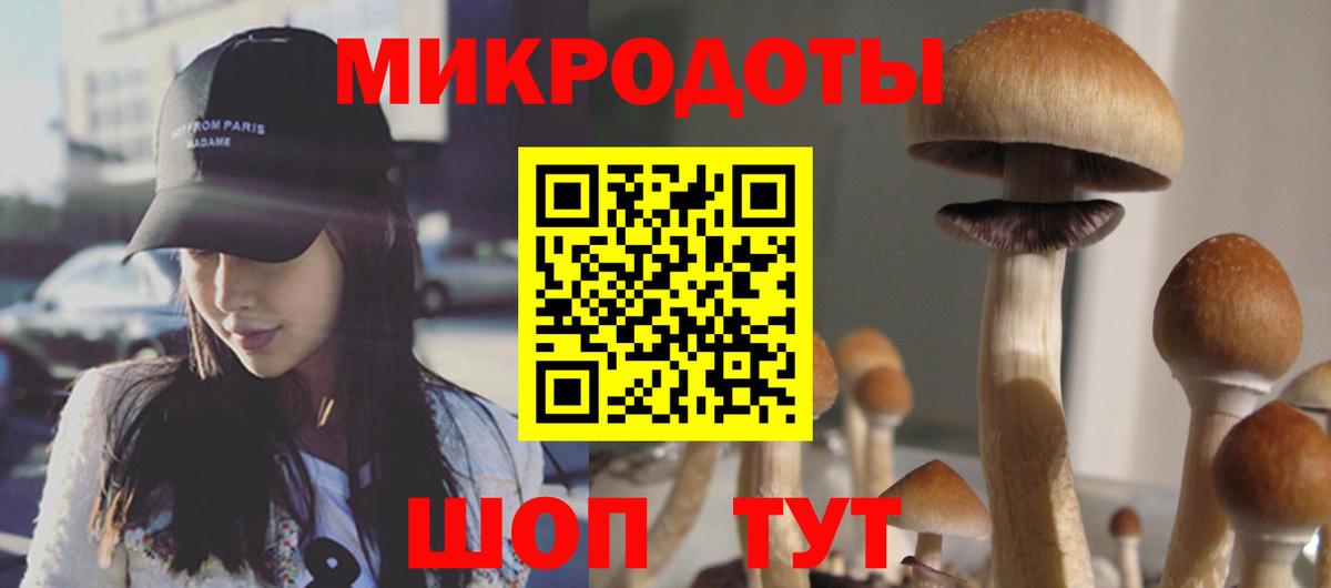 Красноярск  Галлюциногенные грибы прущие грибы  Вход с VPN 